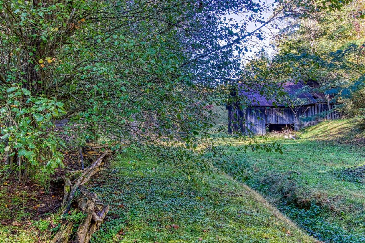Cozy Creek Cabin Pigeon Forge Εξωτερικό φωτογραφία