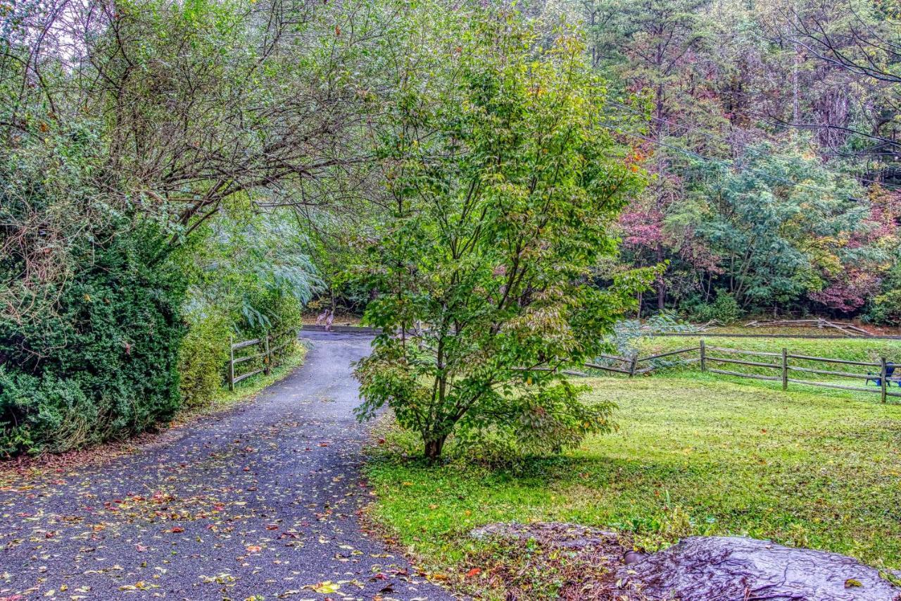 Cozy Creek Cabin Pigeon Forge Εξωτερικό φωτογραφία