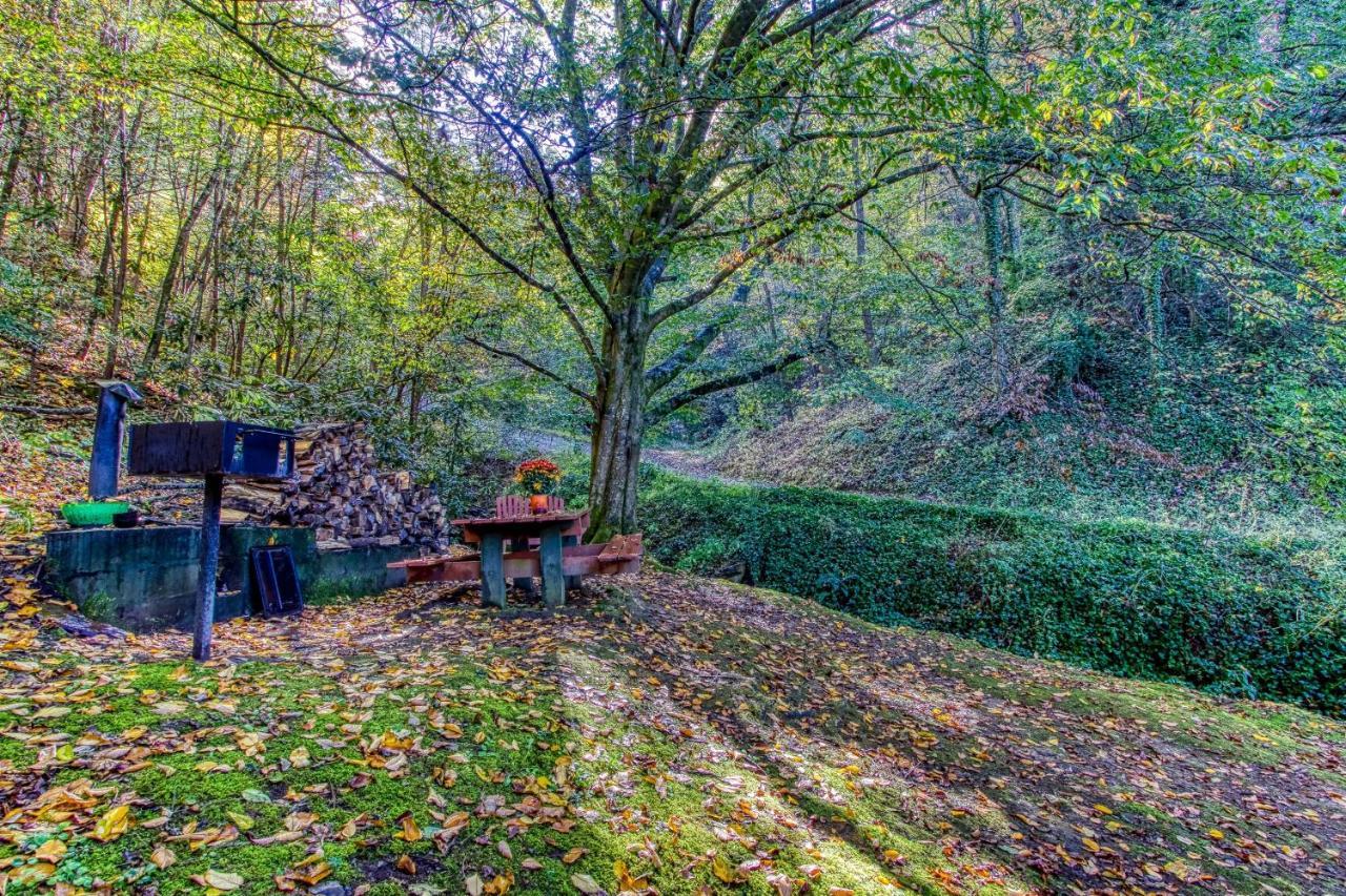 Cozy Creek Cabin Pigeon Forge Εξωτερικό φωτογραφία