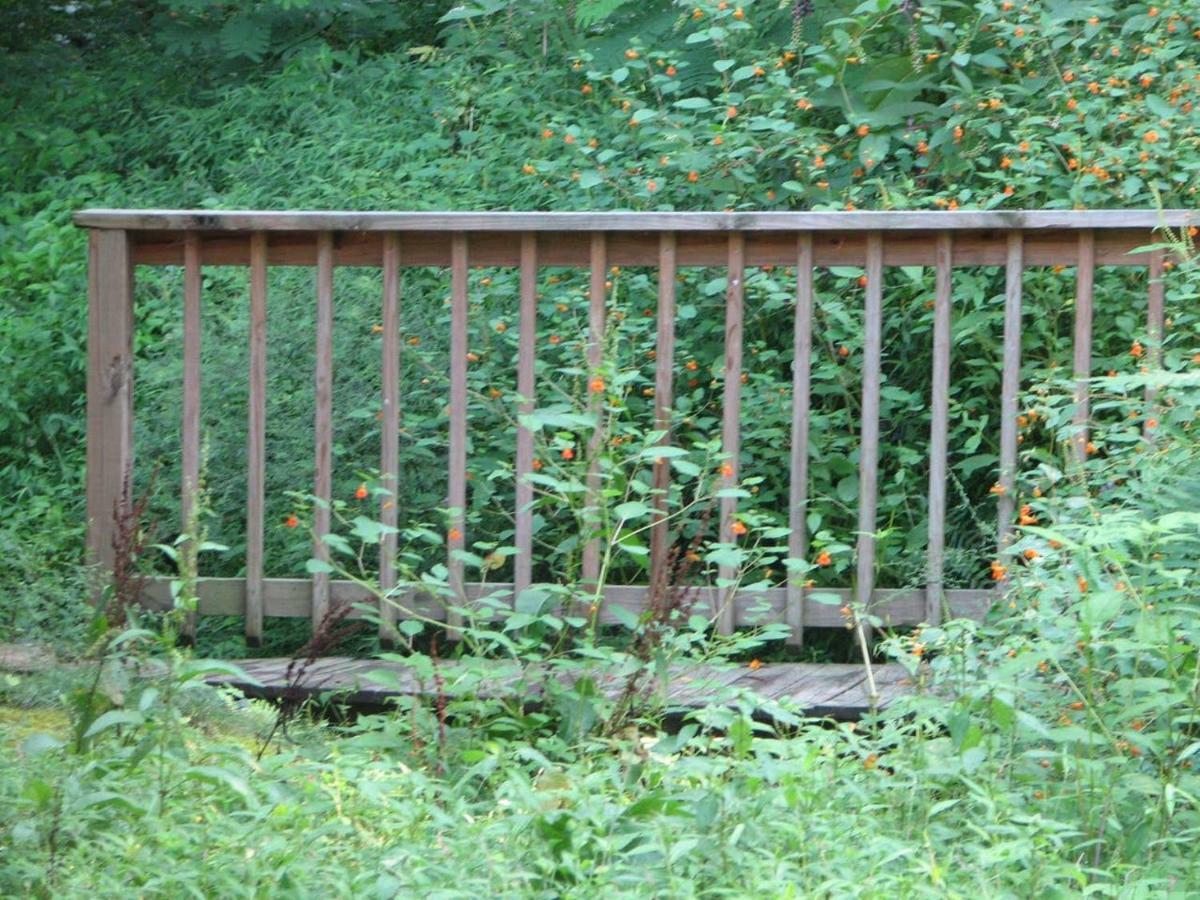 Cozy Creek Cabin Pigeon Forge Εξωτερικό φωτογραφία